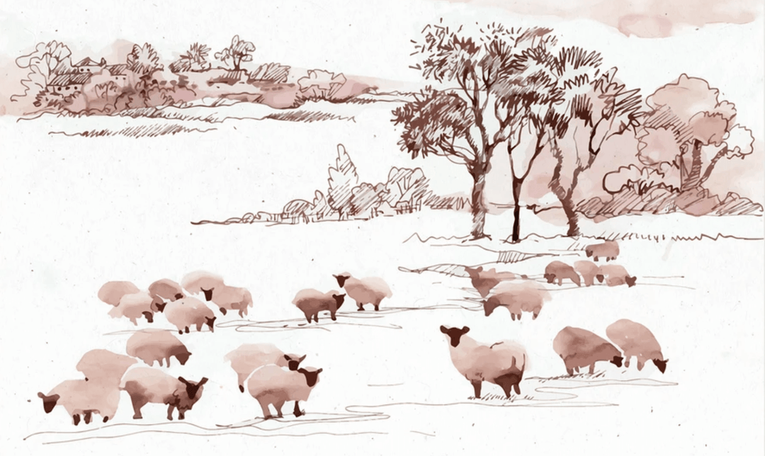 Das wiedergefundene Schaf – Psalm 23 – psalm 23
